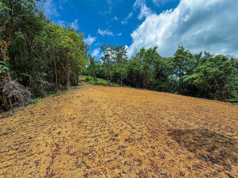 0 bed Land For Sale in Perez Zeledon, San Jose - hero 13