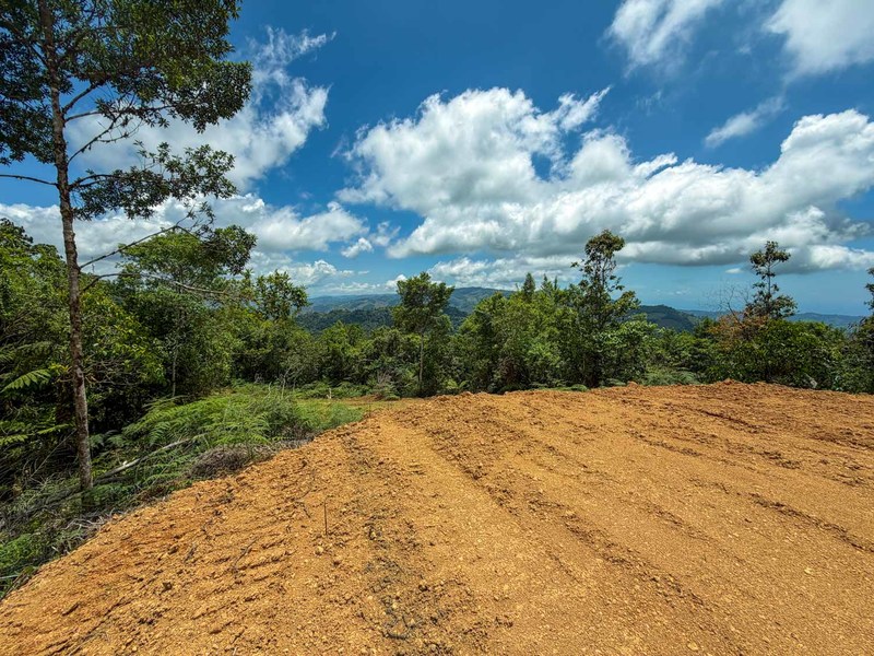 0 bed Land For Sale in Perez Zeledon, San Jose - hero 11