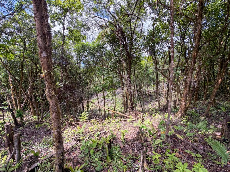 0 bed Land For Sale in Perez Zeledon, San Jose - hero 17