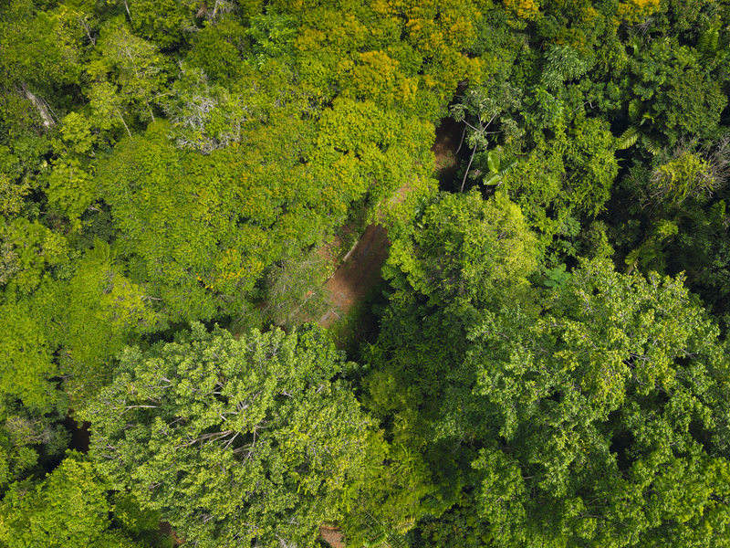 0 bed Land For Sale in Uvita, Puntarenas - hero 12