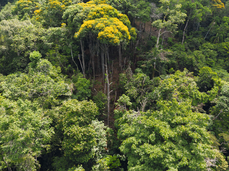 0 bed Land For Sale in Uvita, Puntarenas - hero 9