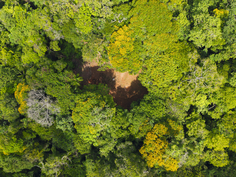 0 bed Land For Sale in Uvita, Puntarenas - hero 7