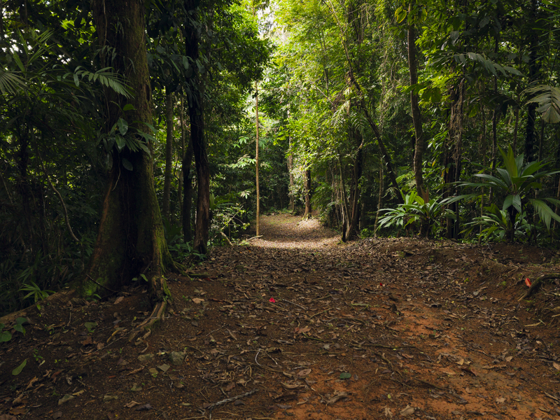 0 bed Land For Sale in Uvita, Puntarenas - hero 16