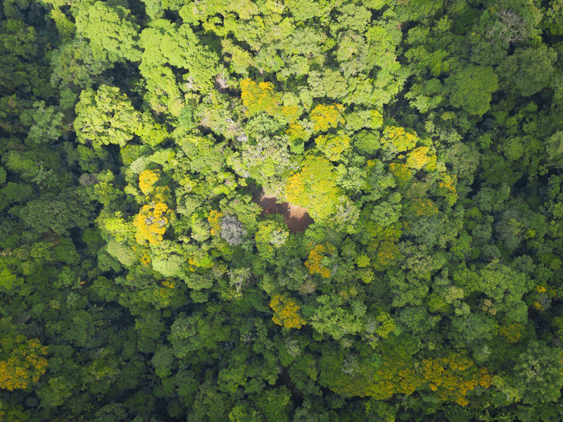 0 bed Land For Sale in Uvita, Puntarenas - hero 8
