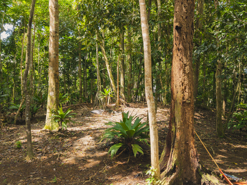 0 bed Land For Sale in Uvita, Puntarenas - hero 13