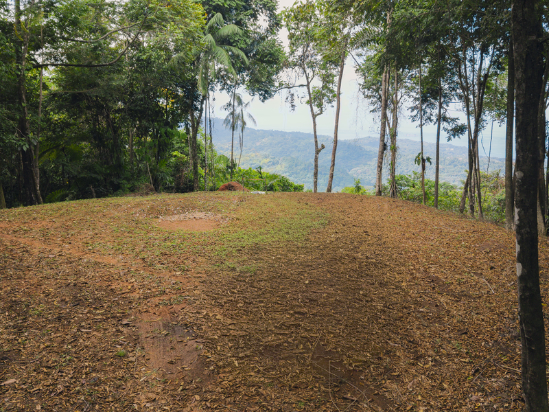 0 bed Land For Sale in Uvita, Puntarenas - hero 2