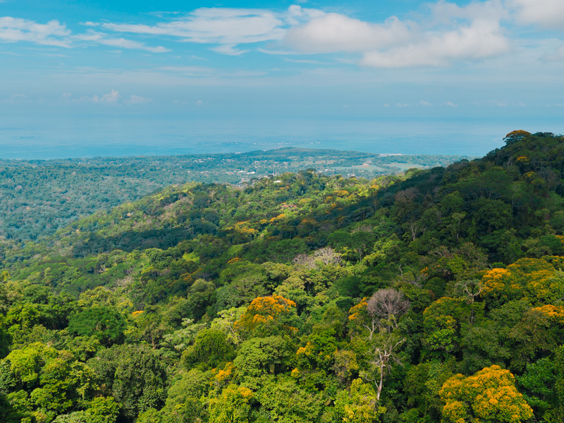 0 bed Land For Sale in Uvita, Puntarenas - 1