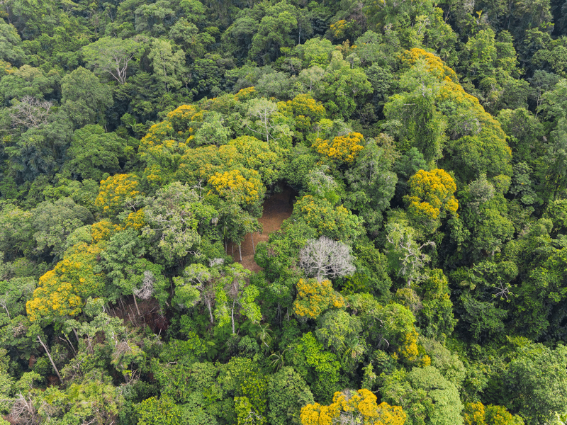 0 bed Land For Sale in Uvita, Puntarenas - hero 4