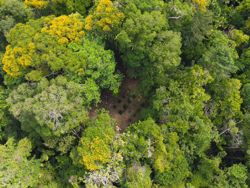 0 bed Land For Sale in Uvita, Puntarenas - hero 11