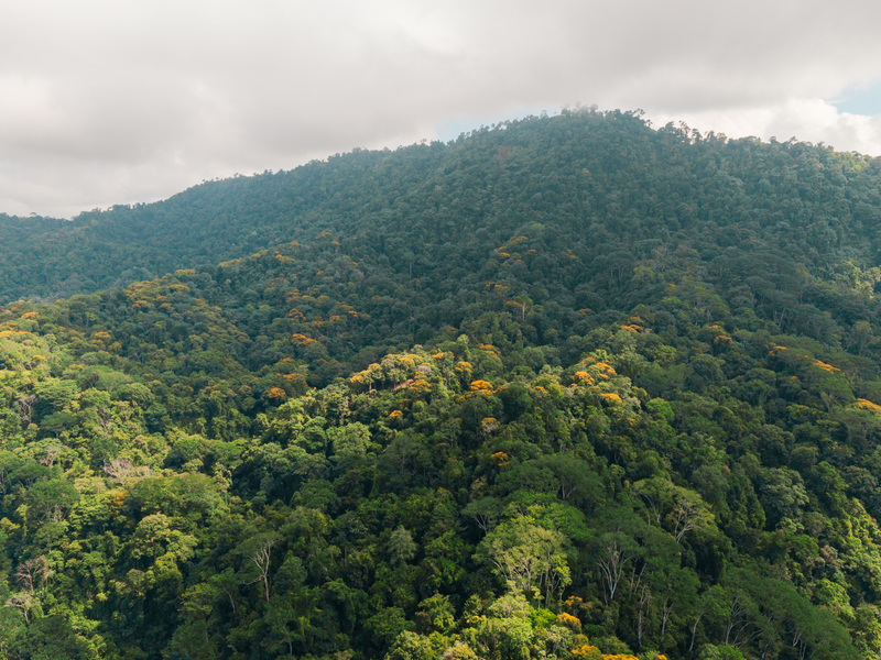 0 bed Land For Sale in Uvita, Puntarenas - hero 5