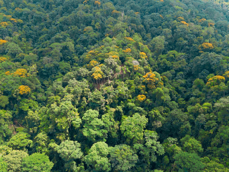 0 bed Land For Sale in Uvita, Puntarenas - hero 6