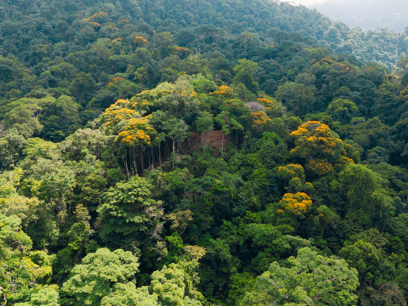 0 bed Land For Sale in Uvita, Puntarenas - hero 10