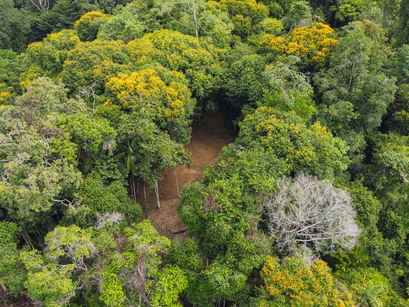 0 bed Land For Sale in Uvita, Puntarenas - hero 3
