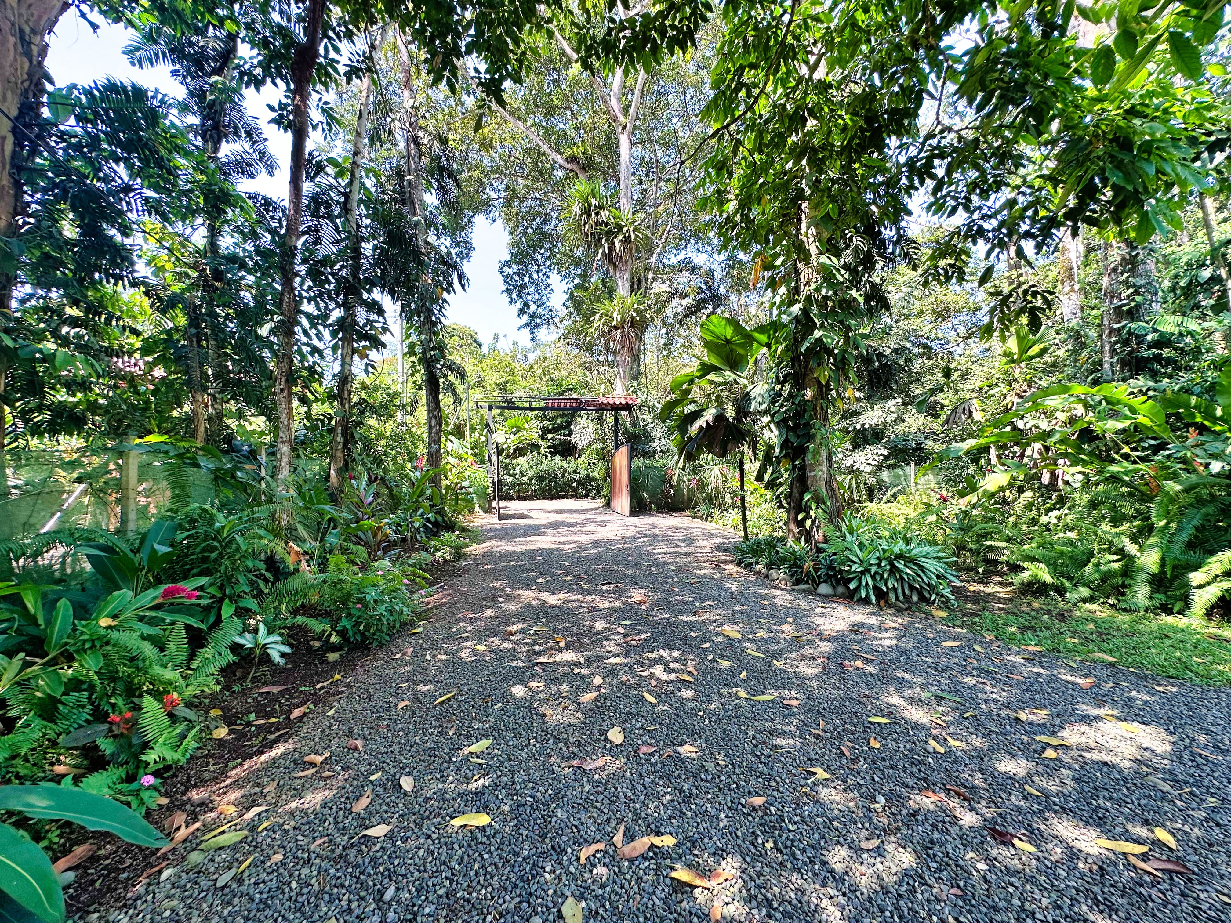 3 bed Single Family Homes For Sale in Cahuita, Limón - thumb 30