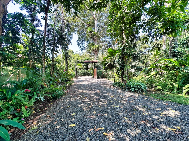 3 bed Single Family Homes For Sale in Cahuita, Limón - hero 30
