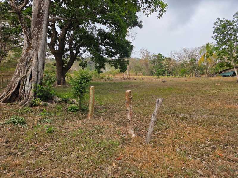 0 bed Land For Sale in Hojancha, Guanacaste - hero 8
