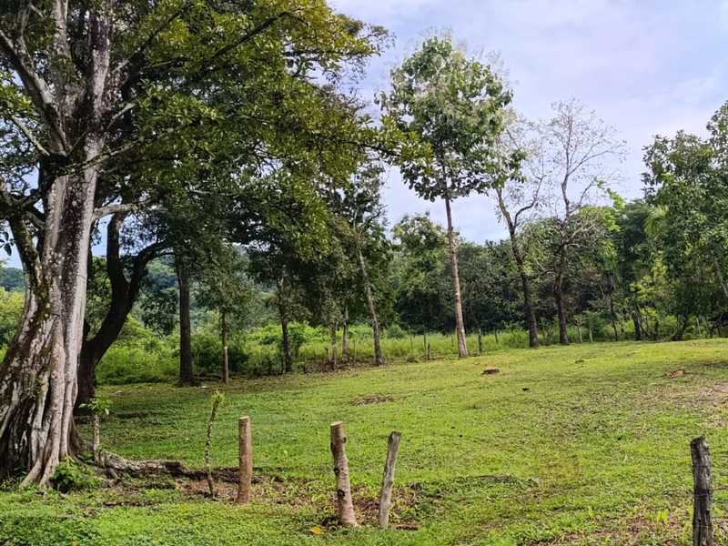 0 bed Land For Sale in Hojancha, Guanacaste - hero 7