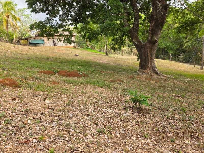 0 bed Land For Sale in Hojancha, Guanacaste - hero 12
