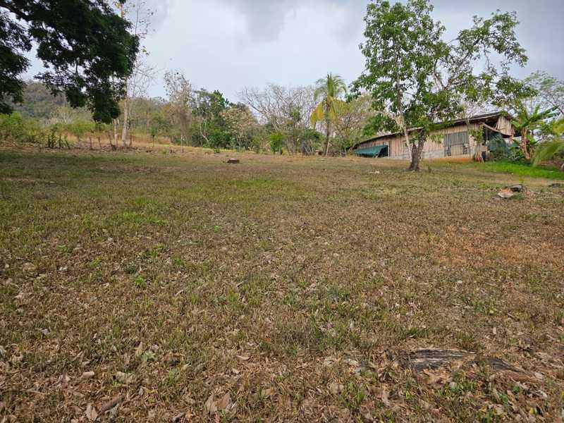 0 bed Land For Sale in Hojancha, Guanacaste - hero 6