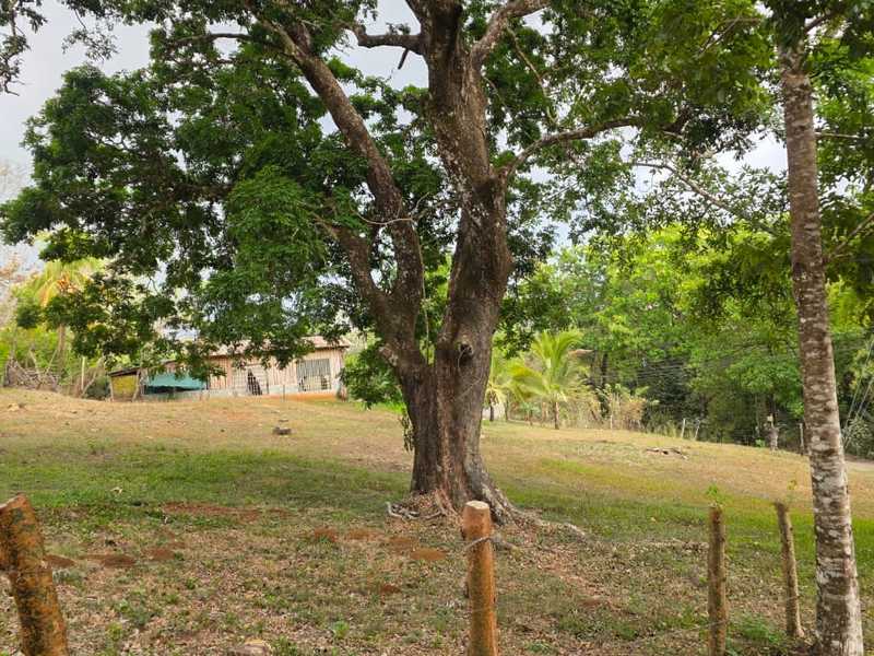 0 bed Land For Sale in Hojancha, Guanacaste - hero 11