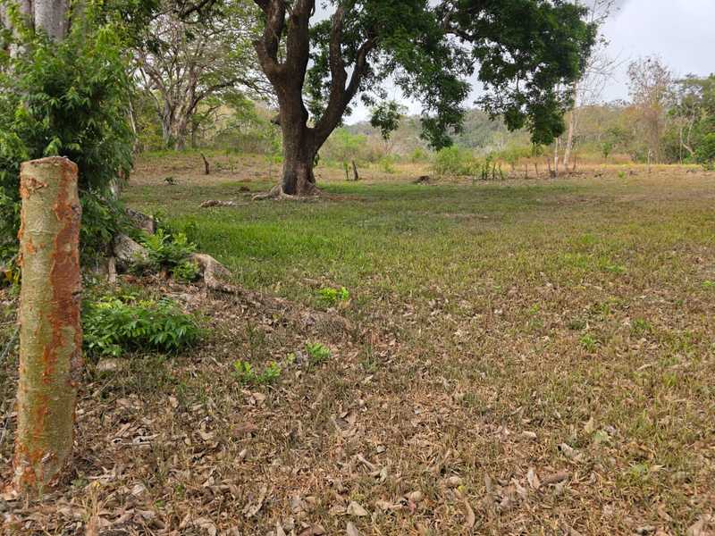 0 bed Land For Sale in Hojancha, Guanacaste - 1