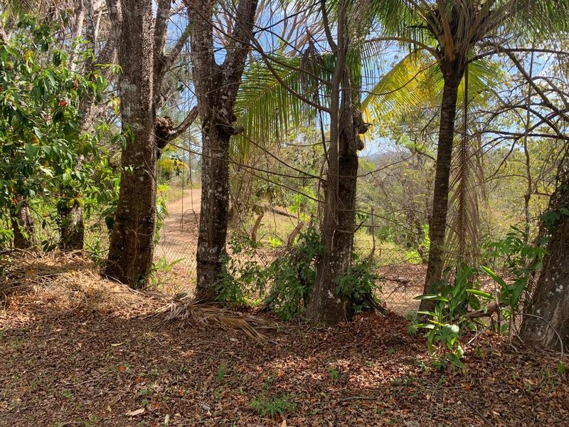 3 bed Single Family Homes For Sale in Delicias, Puntarenas - hero 9