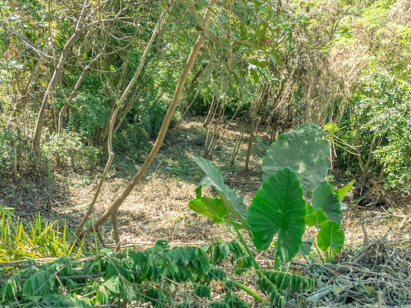 0 bed Land For Sale in Nosara, Guanacaste - hero 3