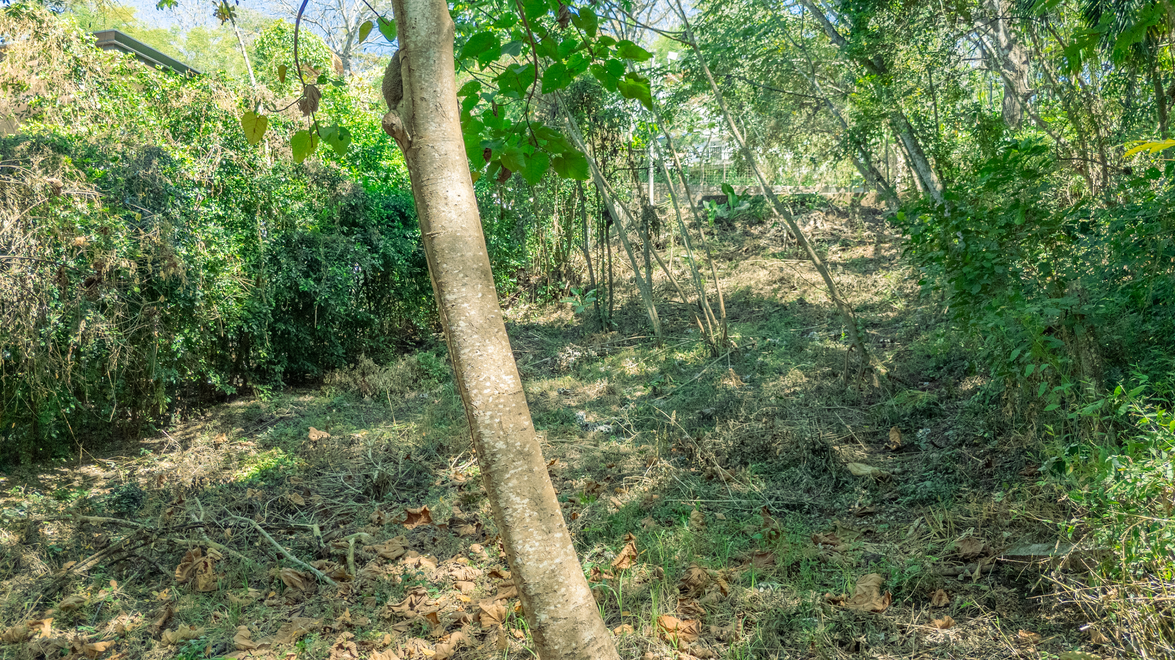 0 bed Land For Sale in Nosara, Guanacaste - thumb 4