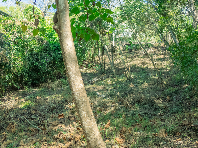 0 bed Land For Sale in Nosara, Guanacaste - hero 4