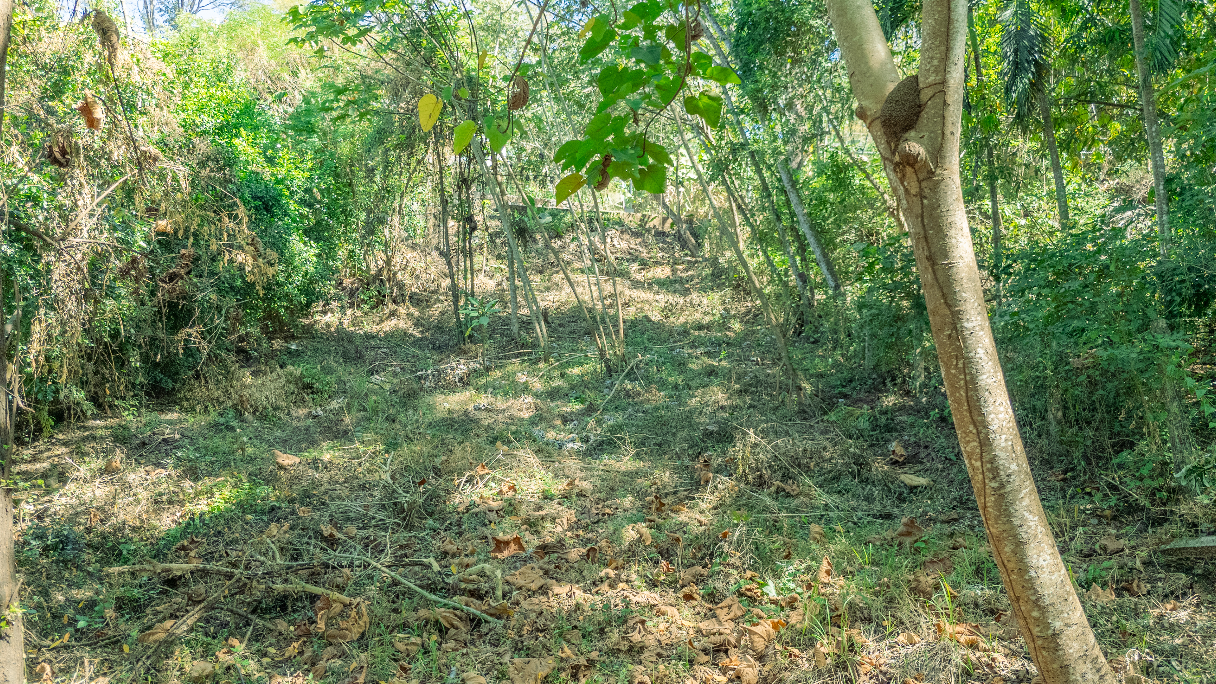 0 bed Land For Sale in Nosara, Guanacaste - thumb 5