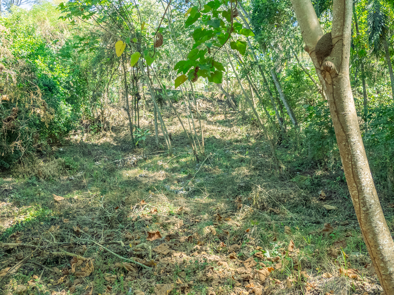 0 bed Land For Sale in Nosara, Guanacaste - hero 5