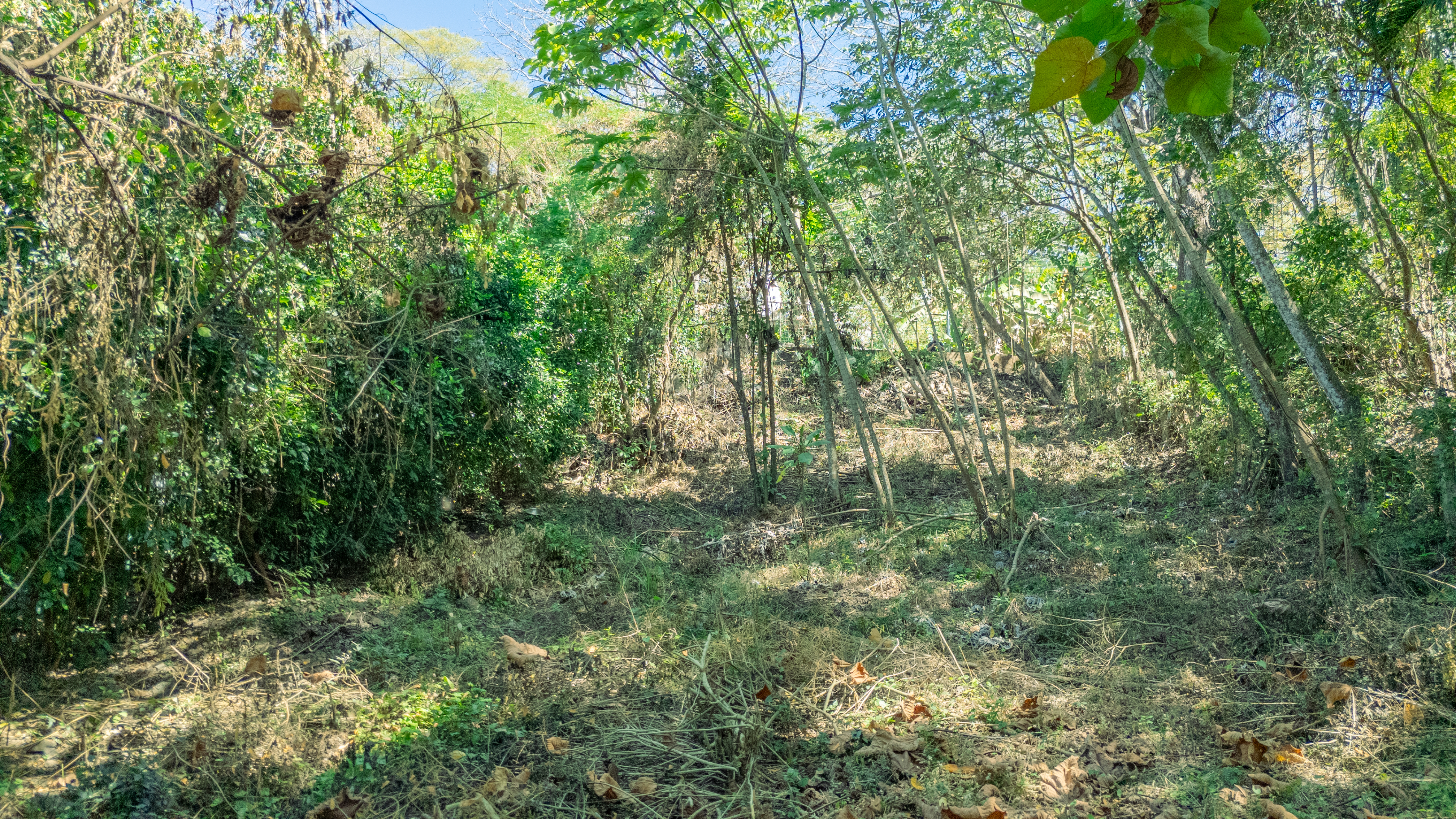 0 bed Land For Sale in Nosara, Guanacaste - thumb 6