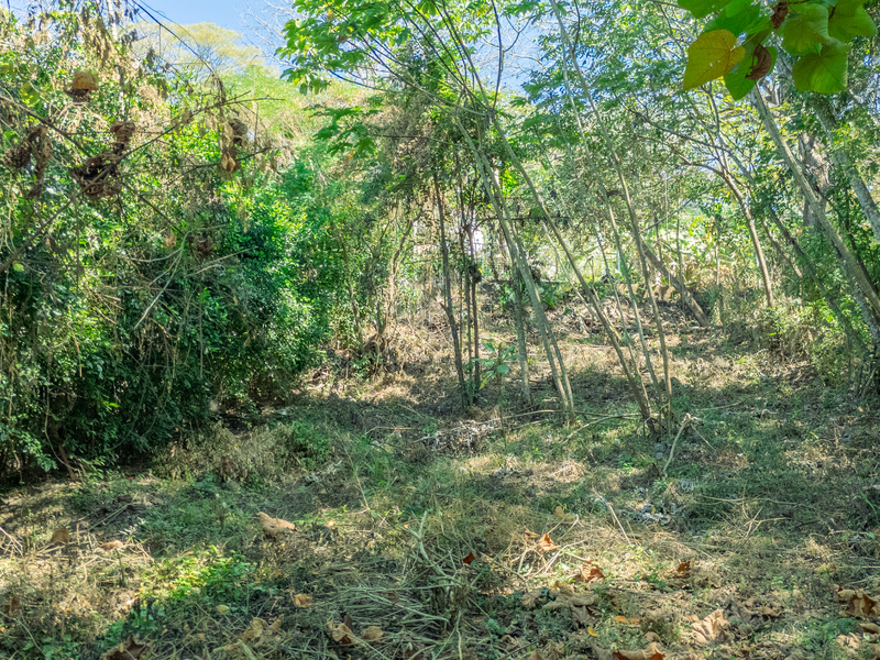 0 bed Land For Sale in Nosara, Guanacaste - hero 6