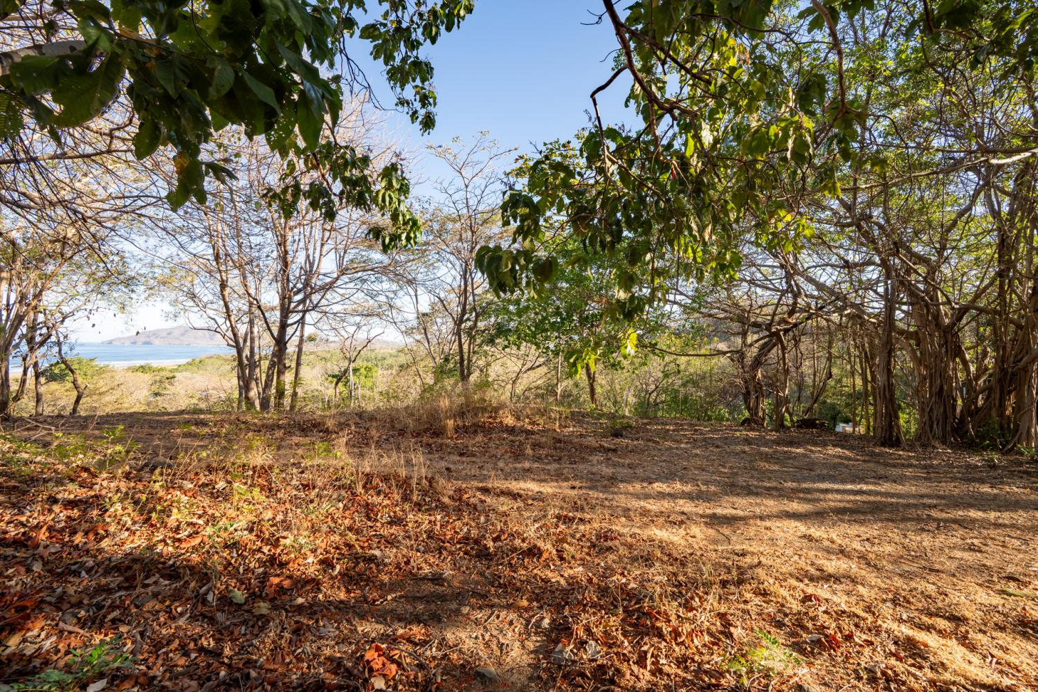 0 bed Land For Sale in Tamarindo, Guanacaste - thumb 21