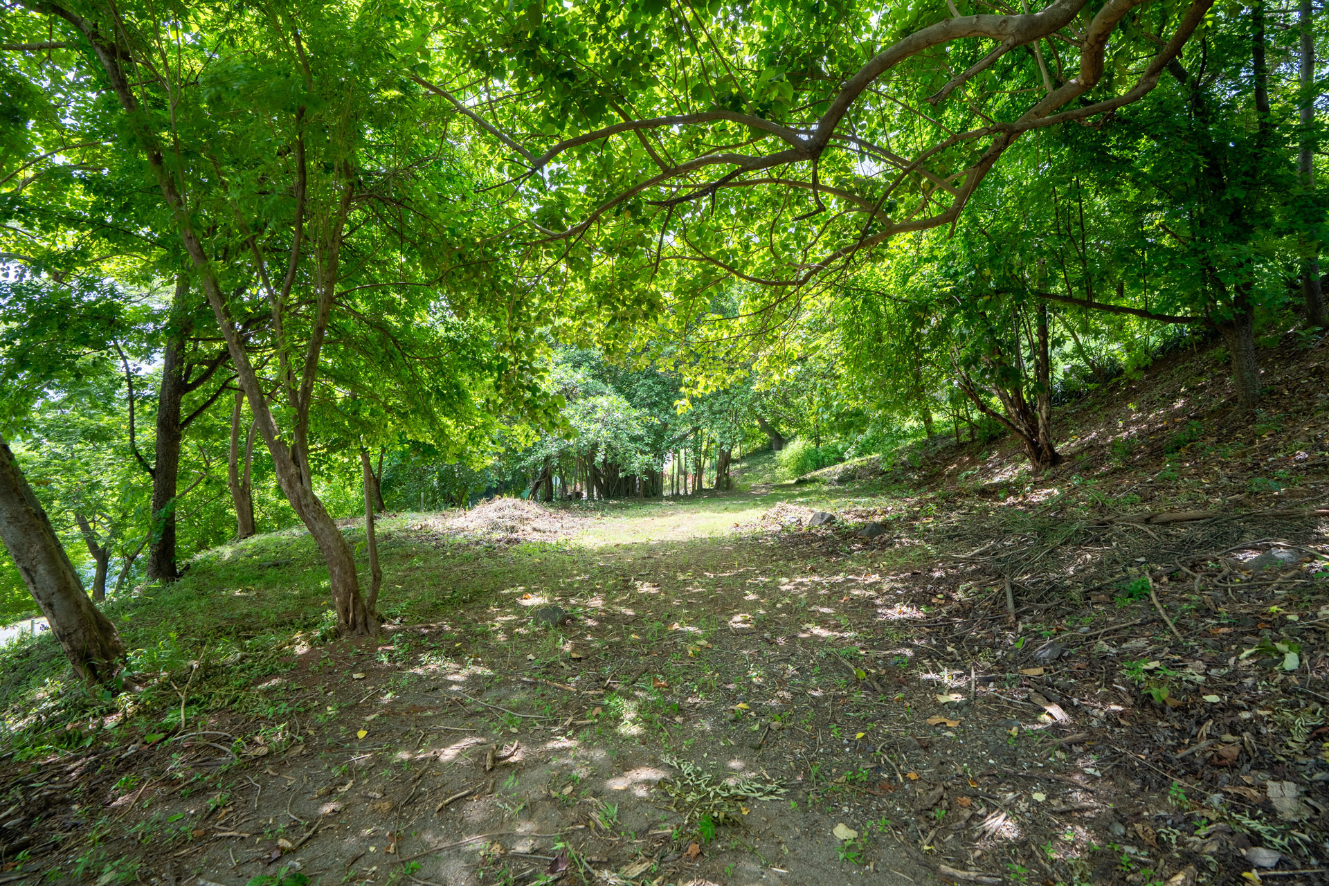 0 bed Land For Sale in Tamarindo, Guanacaste - thumb 6