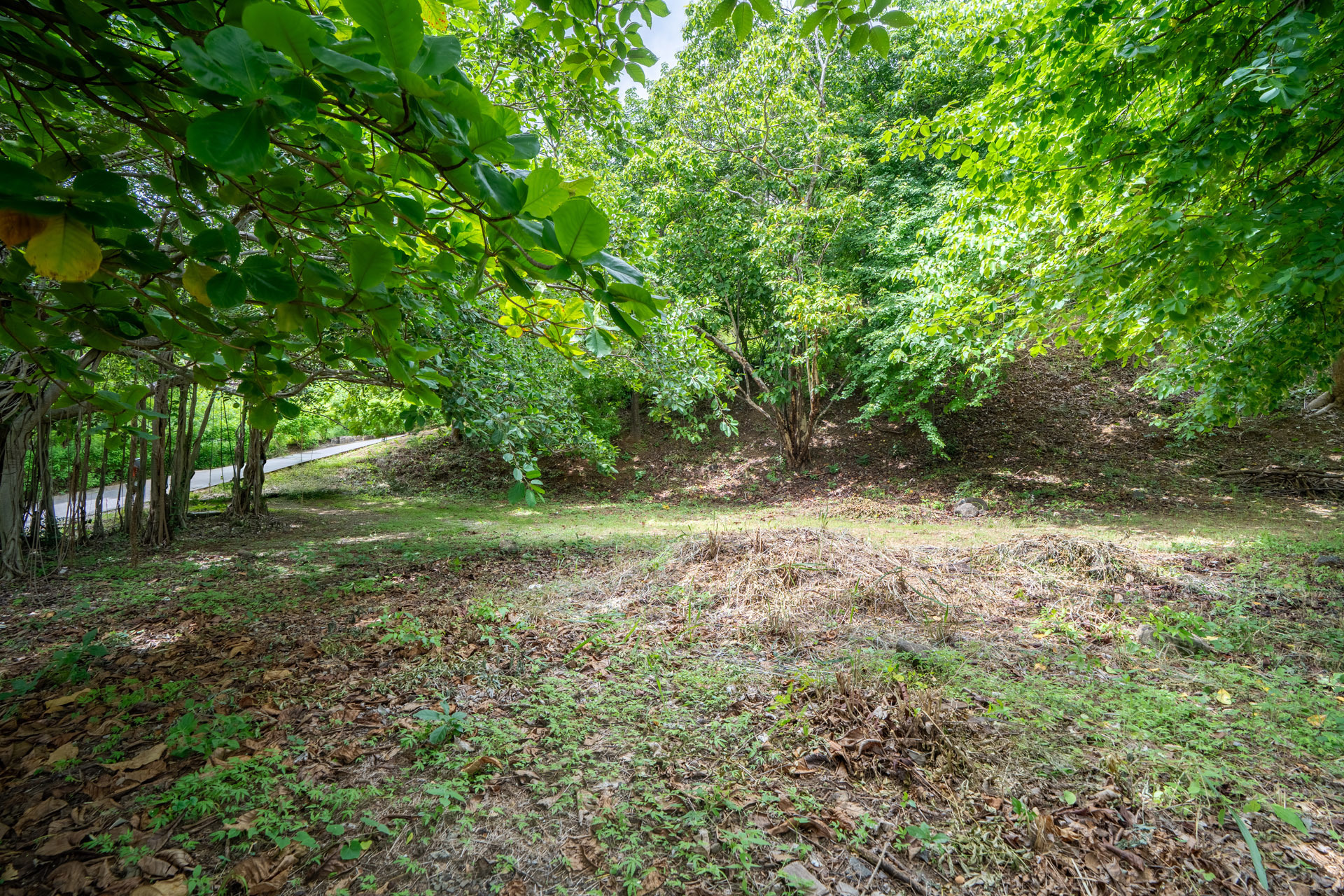 0 bed Land For Sale in Tamarindo, Guanacaste - thumb 7