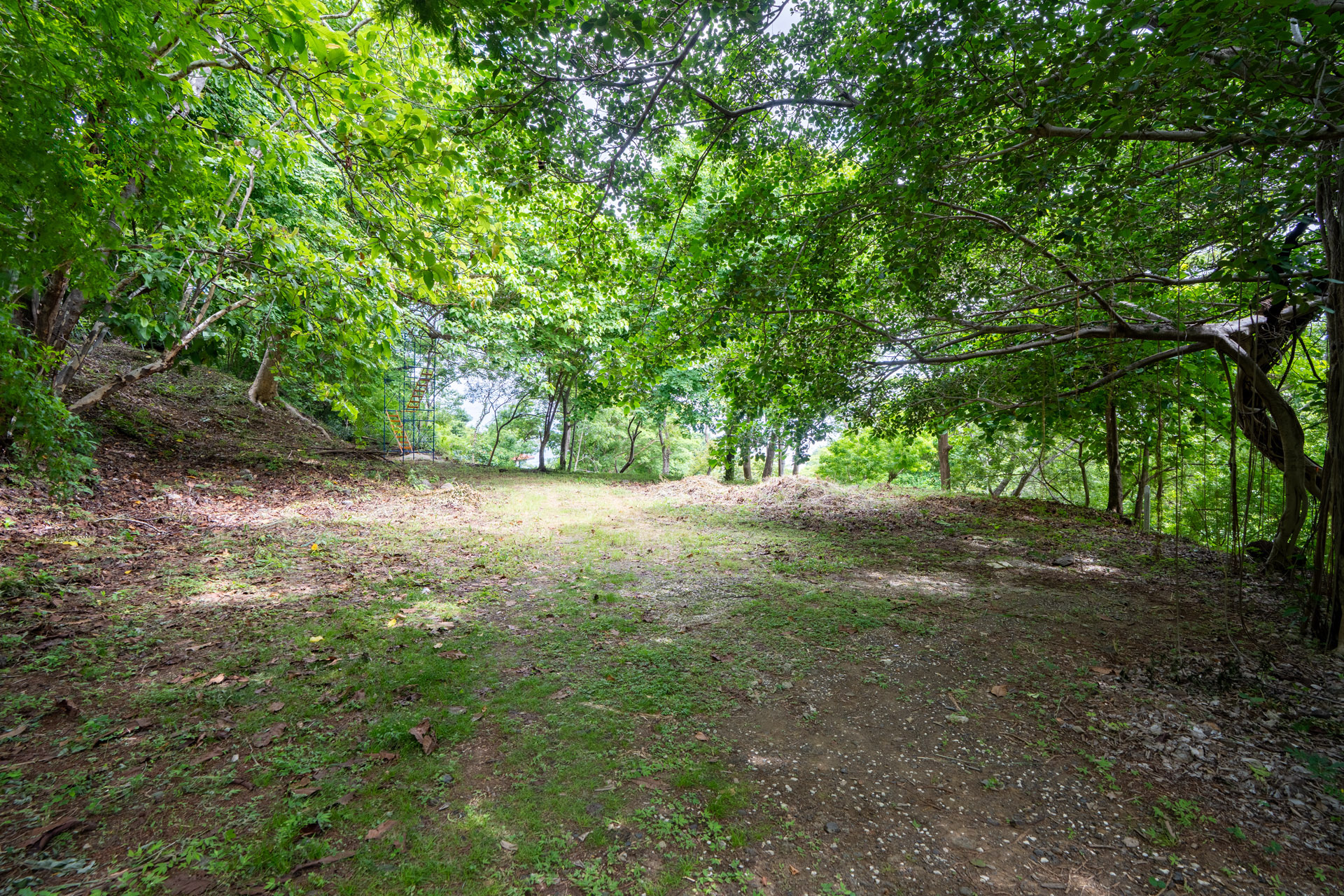0 bed Land For Sale in Tamarindo, Guanacaste - thumb 3