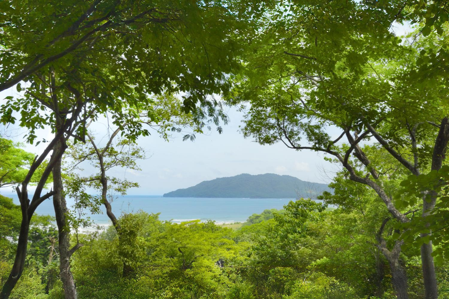 0 bed Land For Sale in Tamarindo, Guanacaste - thumb 16