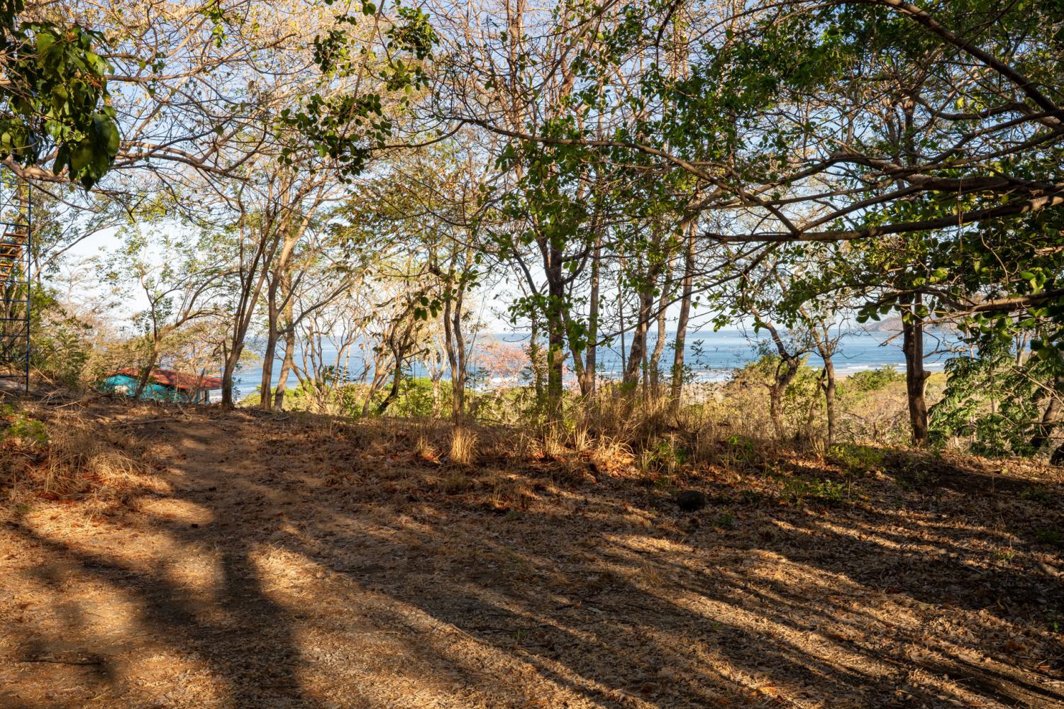 0 bed Land For Sale in Tamarindo, Guanacaste - thumb 19