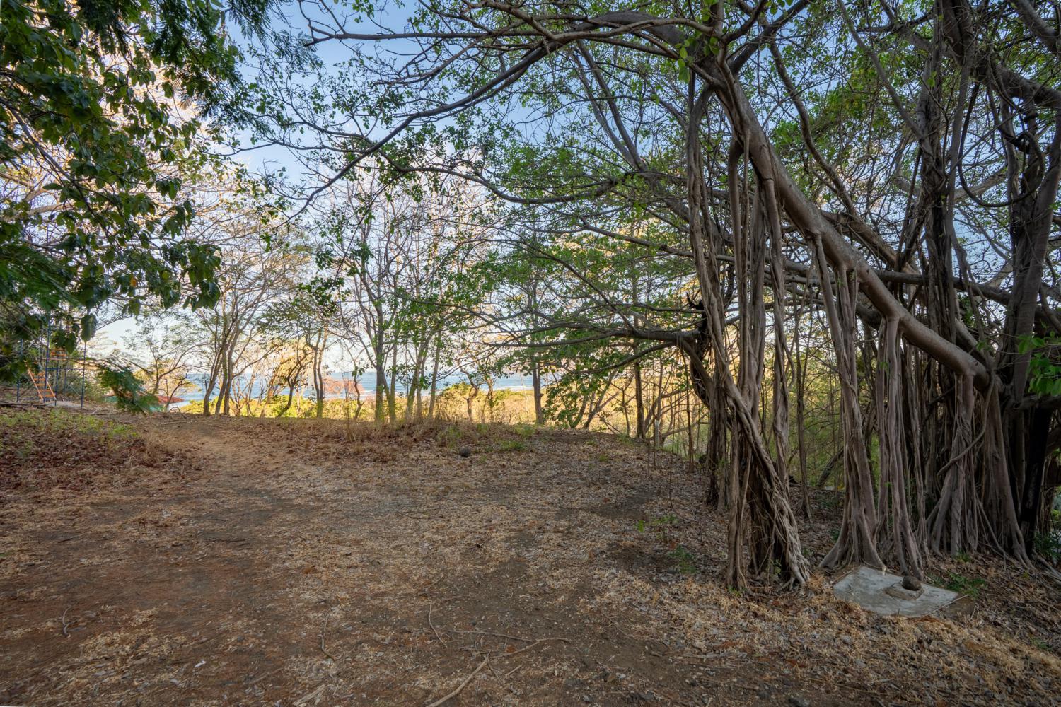 0 bed Land For Sale in Tamarindo, Guanacaste - thumb 24