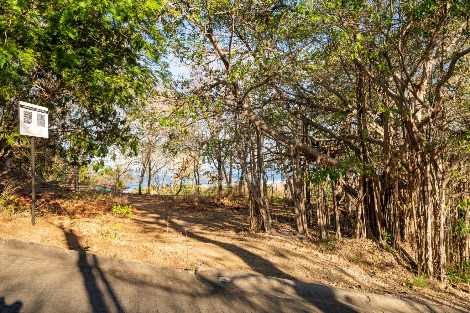 0 bed Land For Sale in Tamarindo, Guanacaste - thumb 20