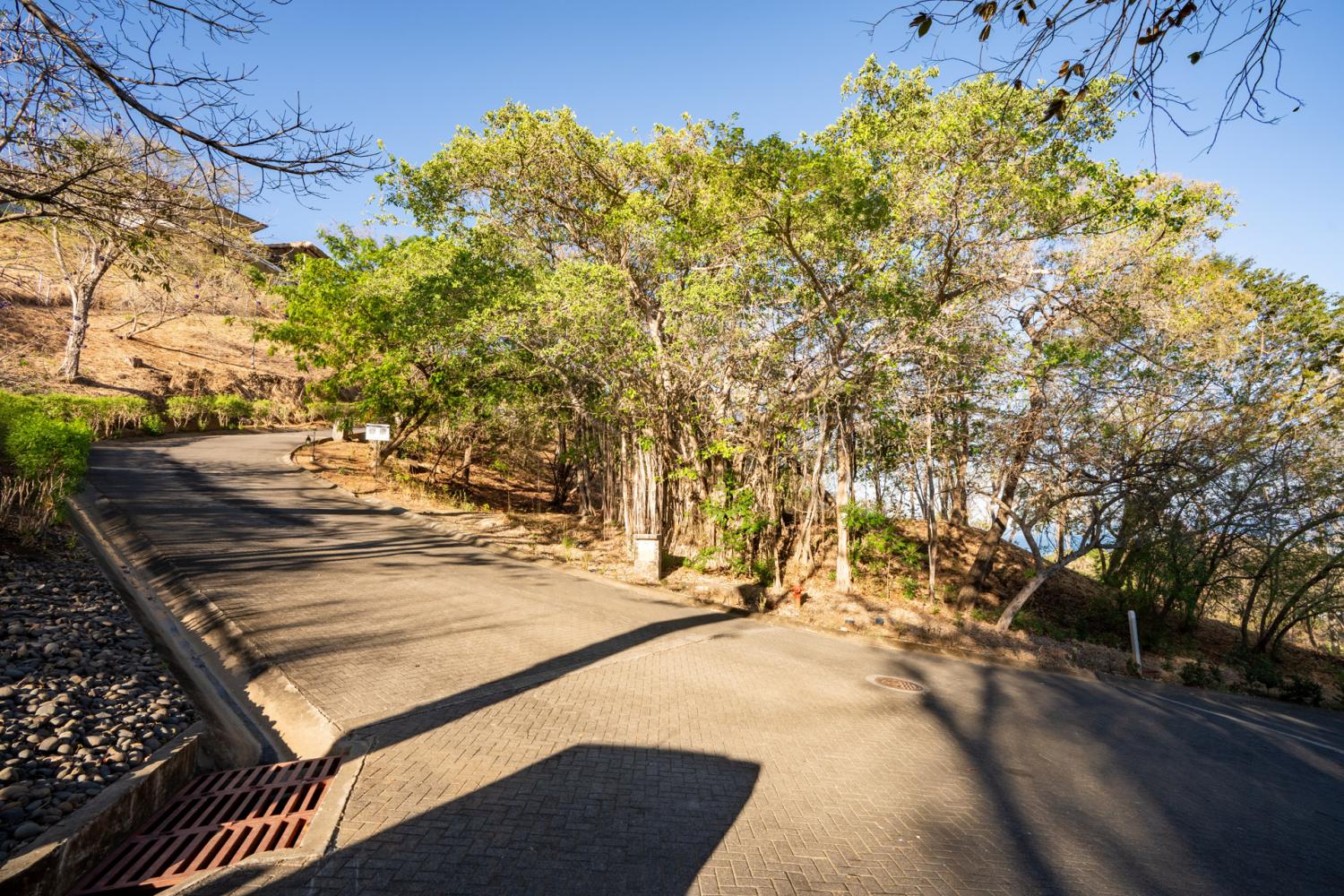 0 bed Land For Sale in Tamarindo, Guanacaste - thumb 17