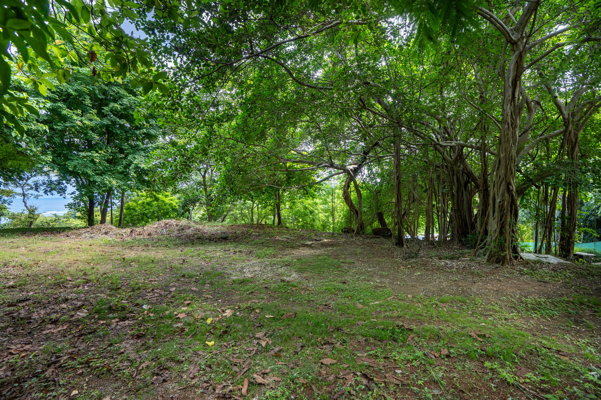 0 bed Land For Sale in Tamarindo, Guanacaste - thumb 4