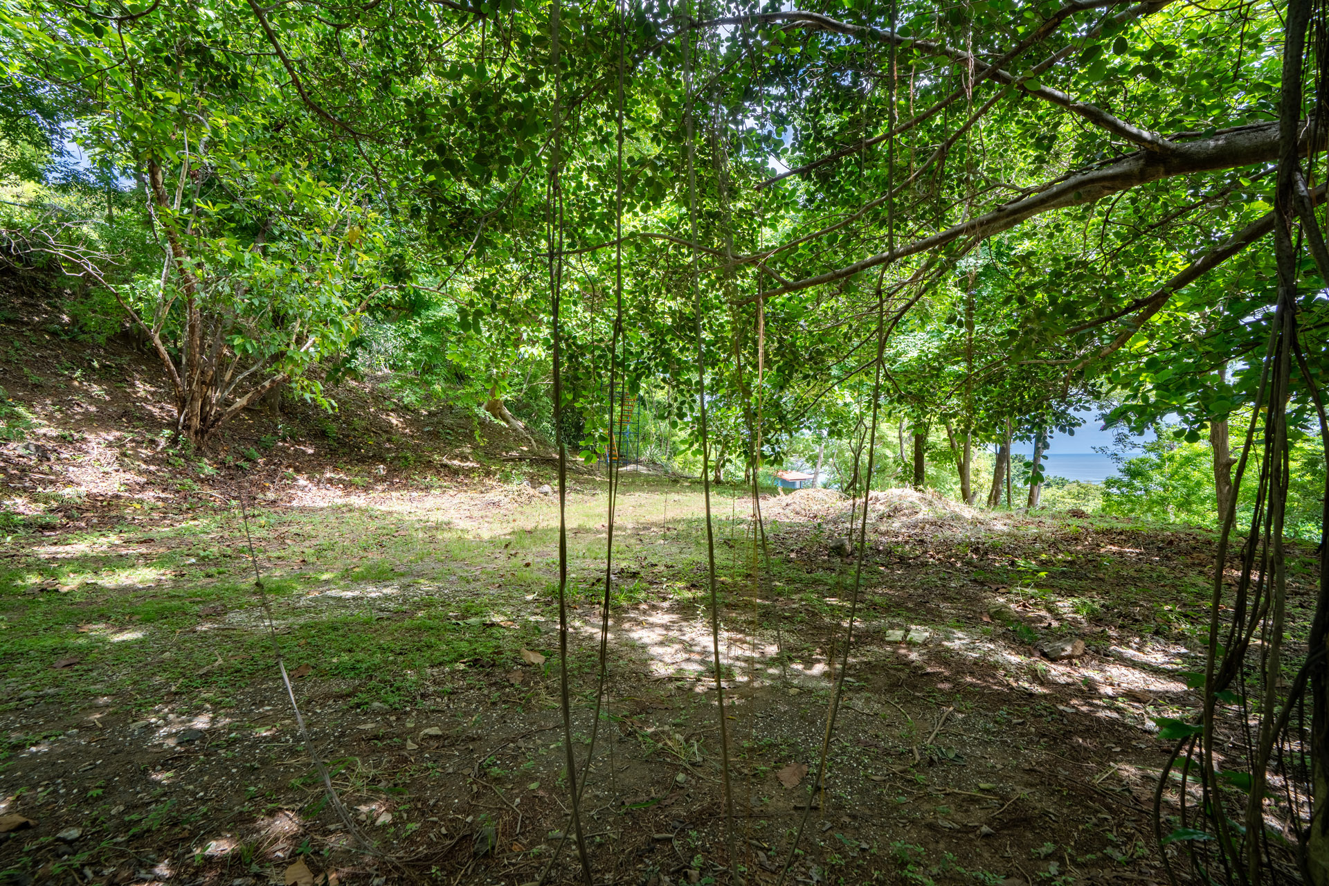 0 bed Land For Sale in Tamarindo, Guanacaste - thumb 5
