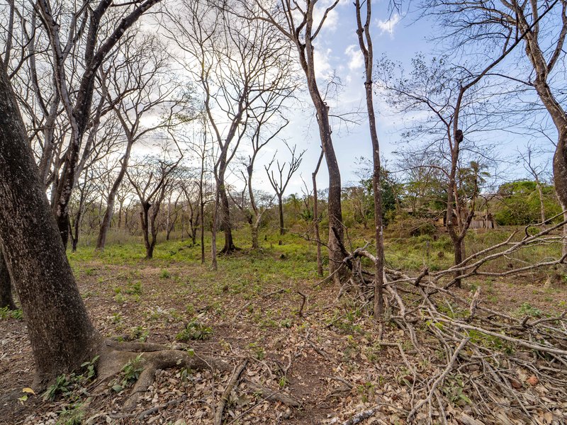 0 bed Land For Sale in Samara, Guanacaste - hero 3