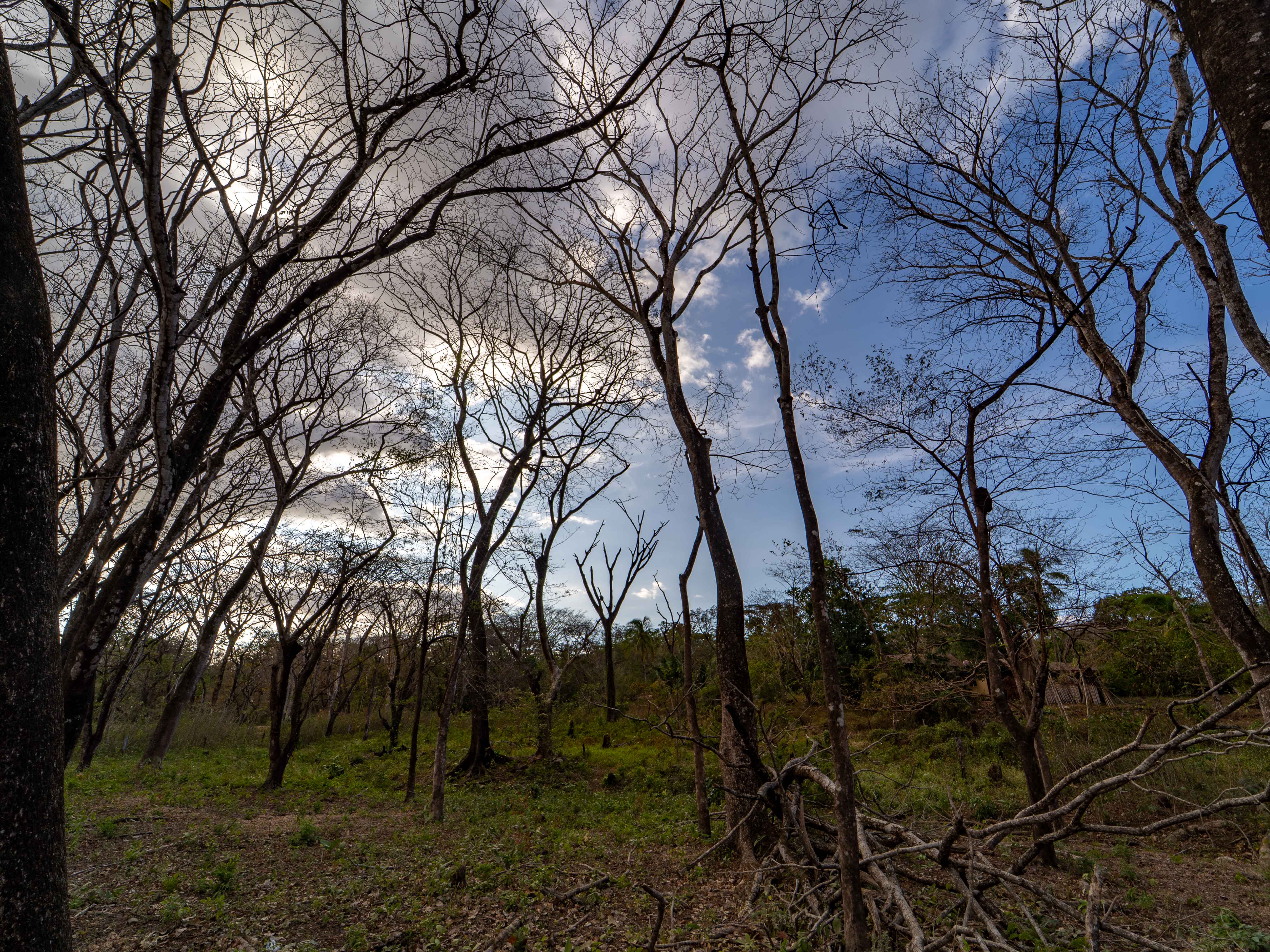 0 bed Land For Sale in Samara, Guanacaste - thumb 4