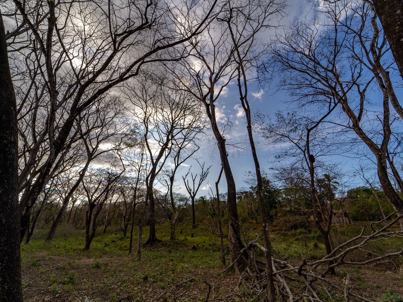 0 bed Land For Sale in Samara, Guanacaste - hero 4