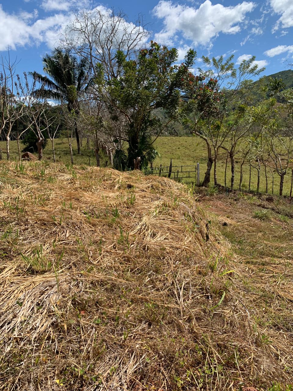 0 bed Land For Sale in Santa Marta, Guanacaste - thumb 3