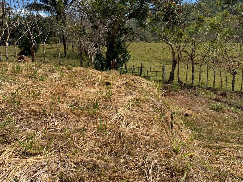 0 bed Land For Sale in Santa Marta, Guanacaste - hero 3