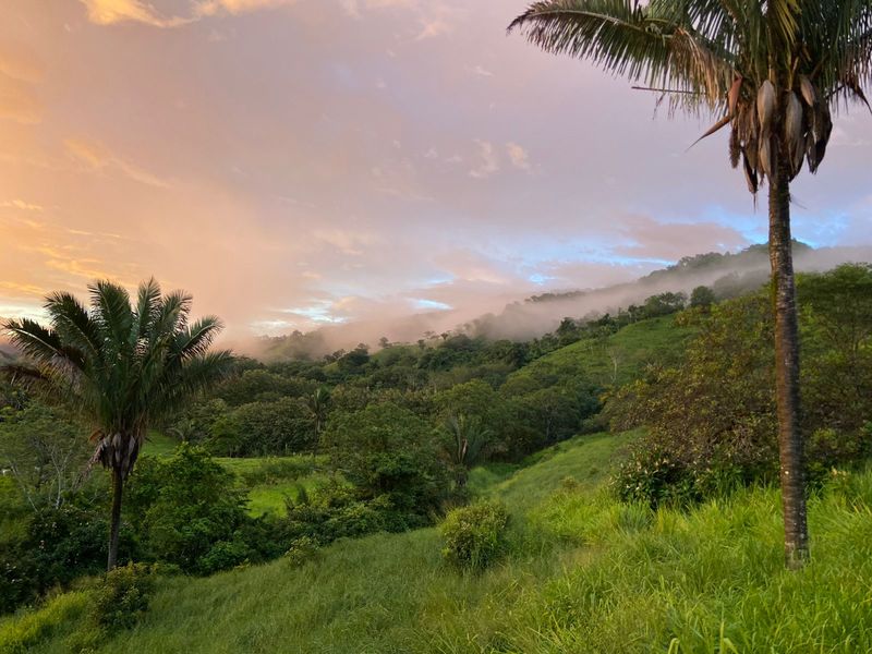 0 bed Land For Sale in Santa Marta, Guanacaste - 1